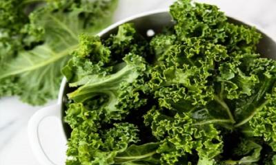 Health Benefits of Kale