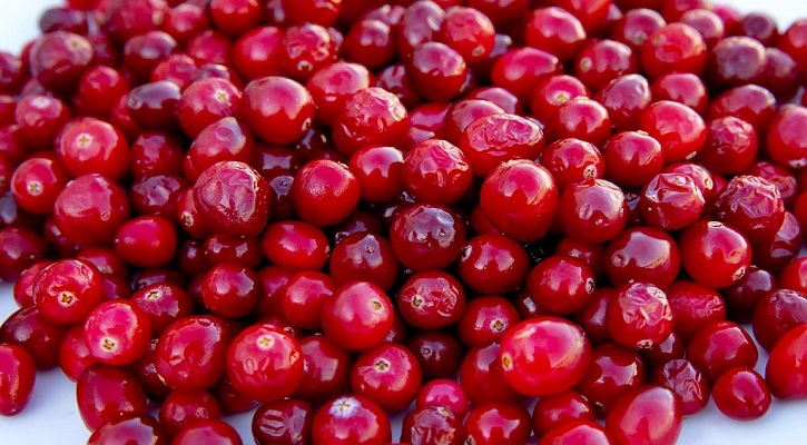 Cranberry