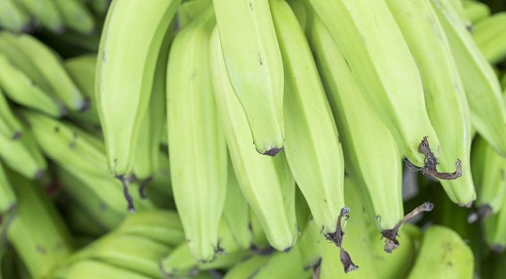 Plantain